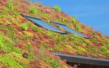 Nailsea living roof systems