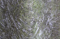 Nailsea fibreglass roof work